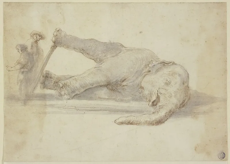 Baroque Drawings