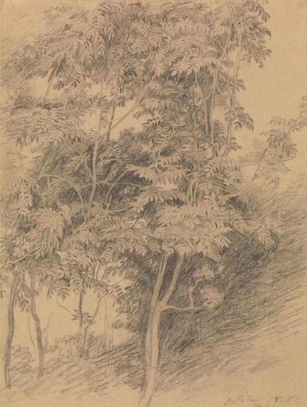 Tree Study 8 Wall Art by Sir David Wilkie - High-Resolution Digital Print