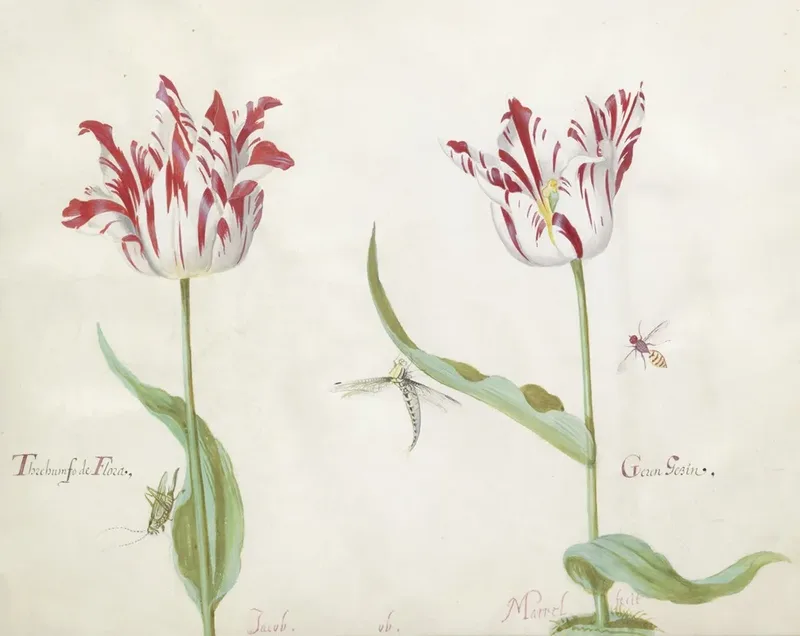 German Flowers