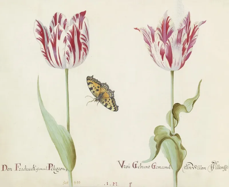 German Plants & Animals