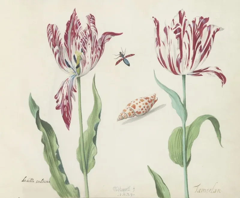 German Flowers