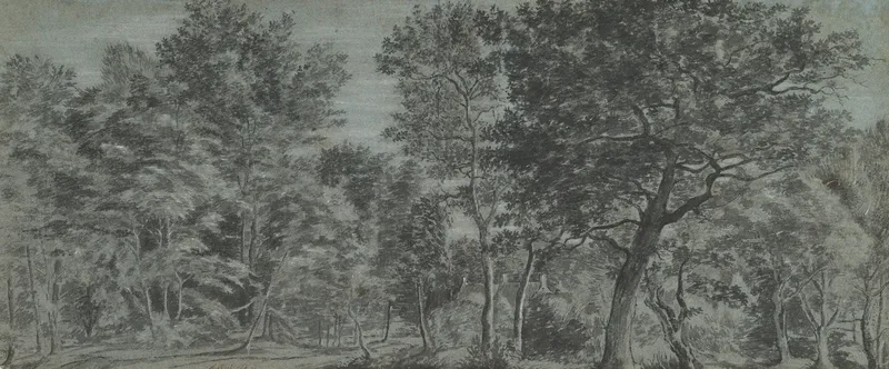 View Of A Forest Wall Art by Joris van der Haagen - High-Resolution Digital Print
