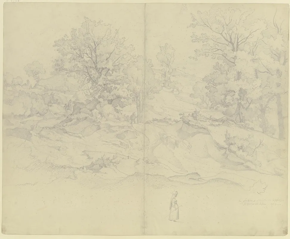Landscape