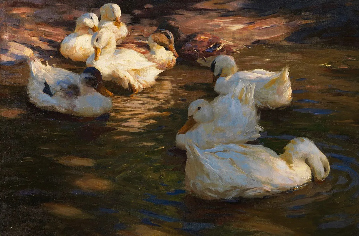 9 Enten Im Abendlicht 2 by Alexander Koester - Canvas Print