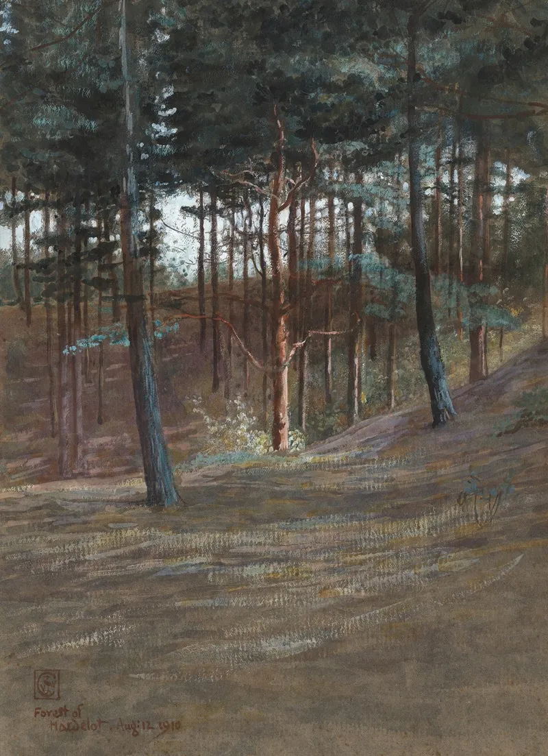 A Bit In Hardelot Forest