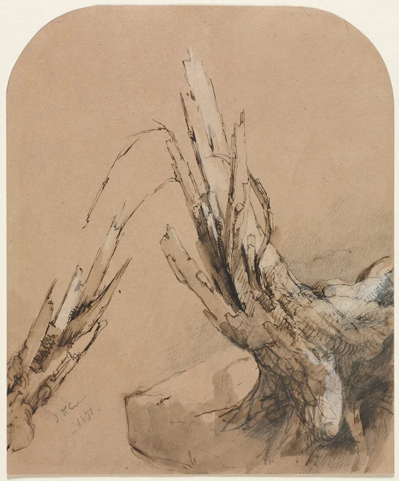 A Blasted Tree 2