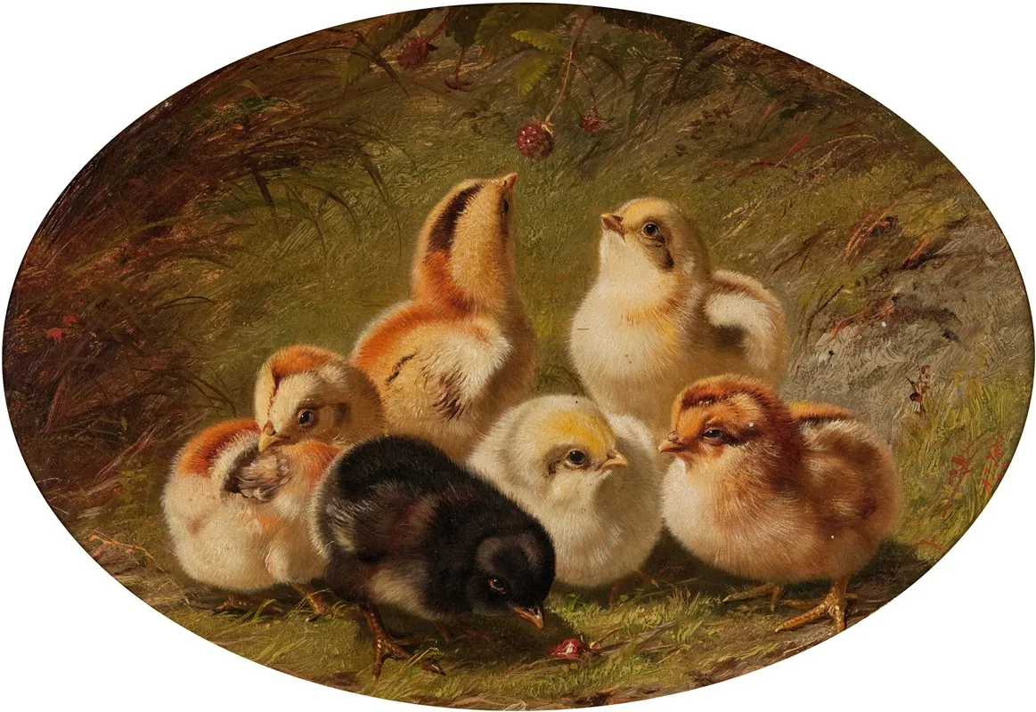 A Brood Of Chicks