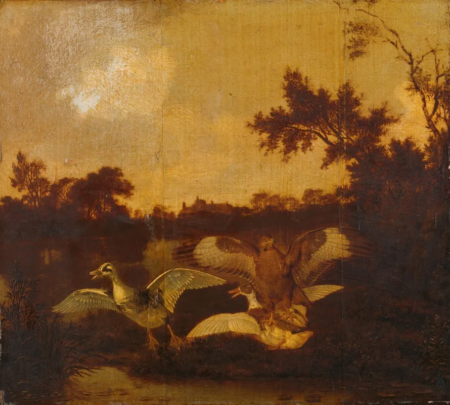 A Buzzard Attacks Two Ducks