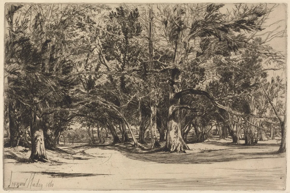 A Byroad In Tipperary