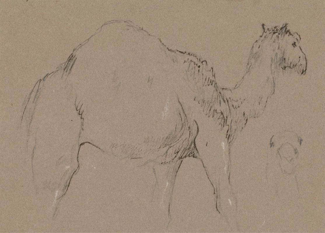 A Camel Moving To The Right A Sketch Of A Camels Head Bottom Right by George Jones - Canvas Print