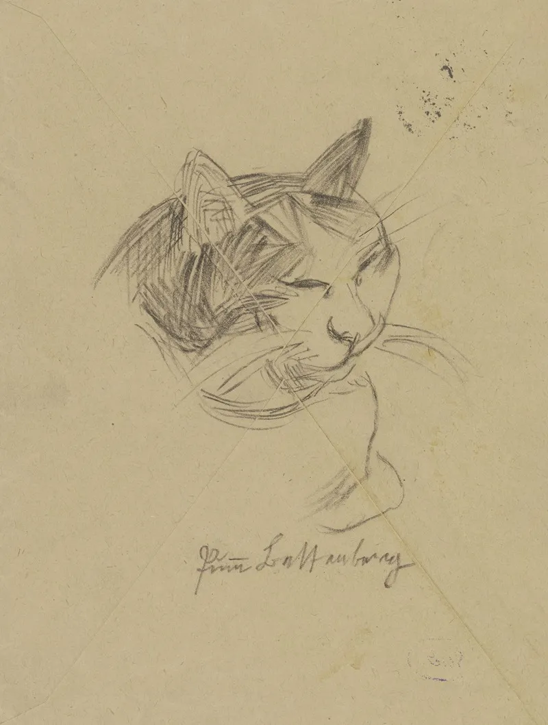 A Cats Head