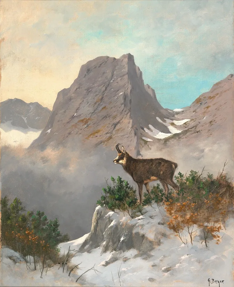 A Chamois High In The Mountains by Georg Berger - Canvas Print