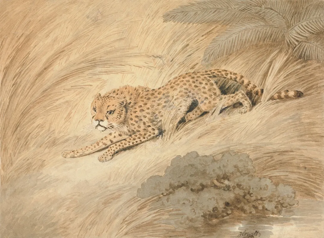 A Cheetah Crouching By A Pool
