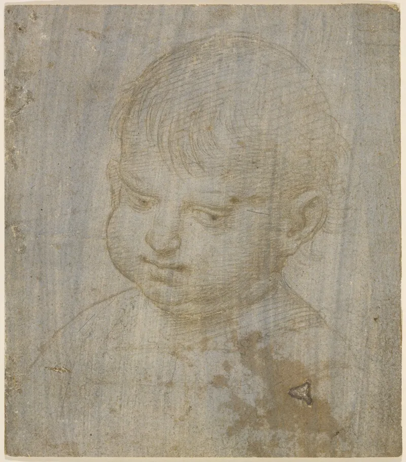 A Childs Head by Raphael - Canvas Print