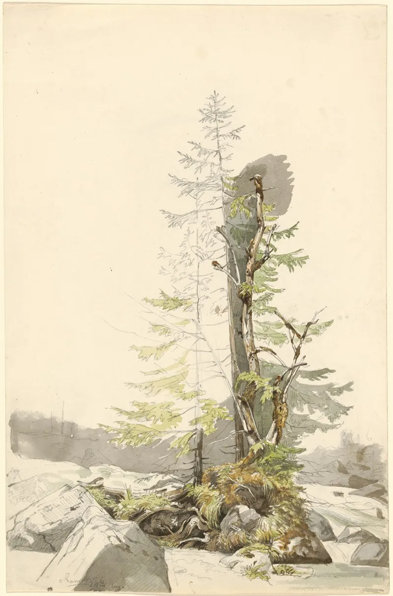 A Clump Of Trees By A Rocky Stream In The Ramsau by Carl Morgenstern - Canvas Print