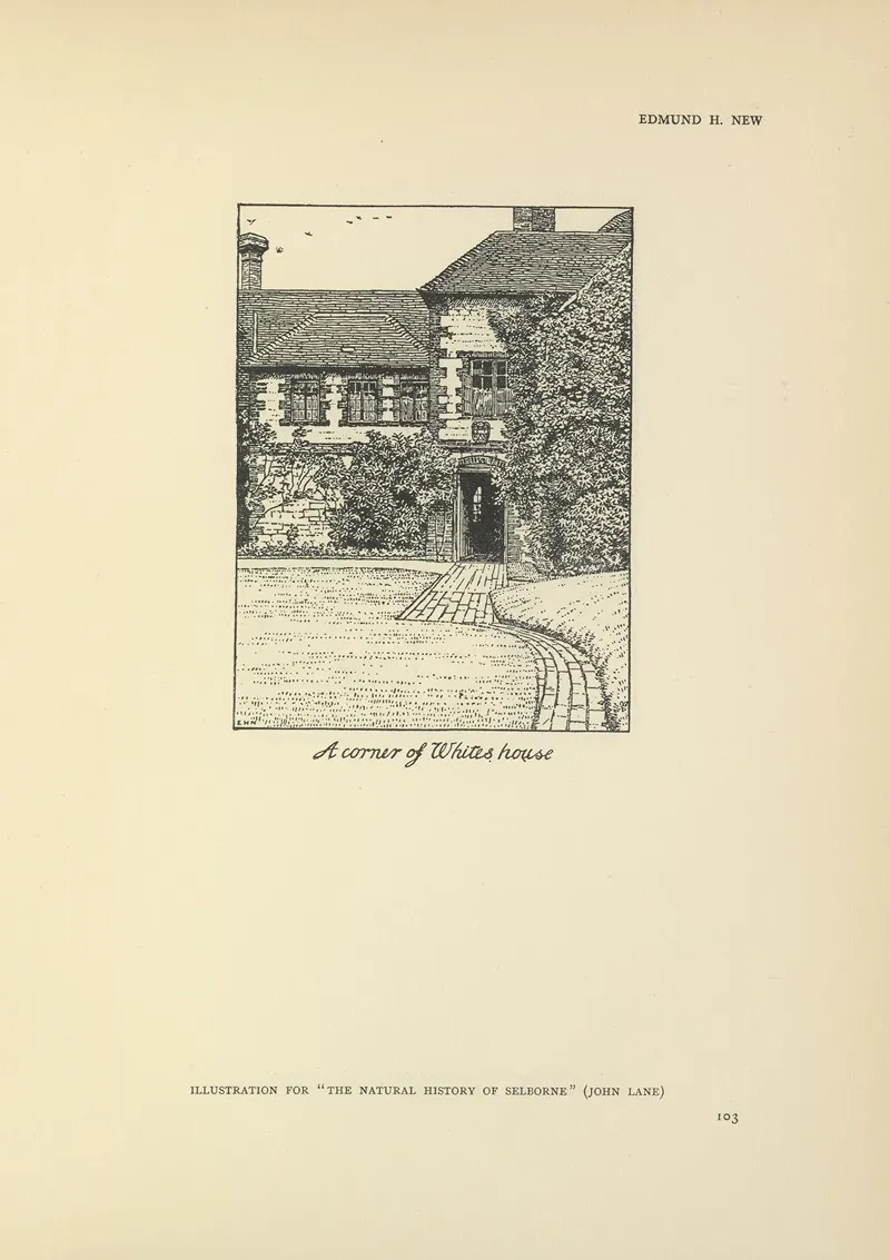 A Corner Of Whites House The Natural History Of Selborne