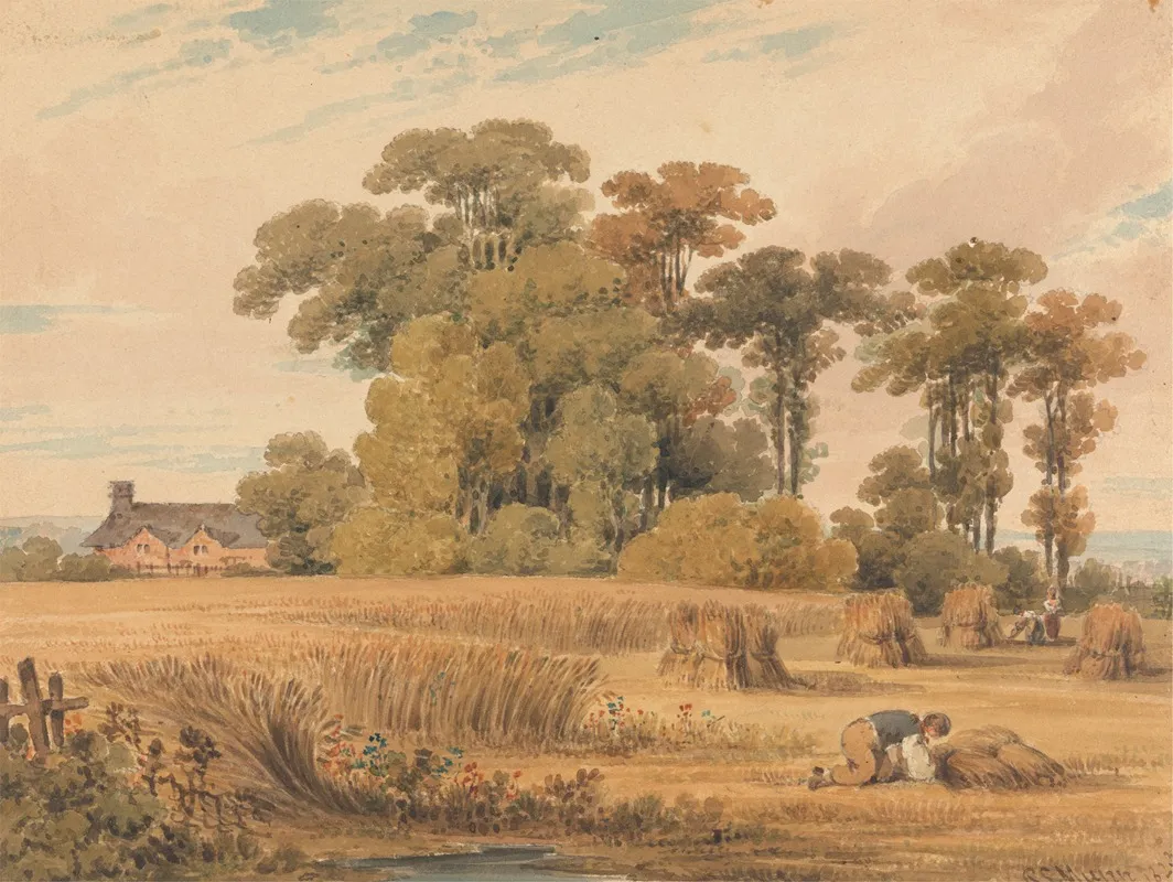 A Cornfield by Paul Sandby Munn - Canvas Print