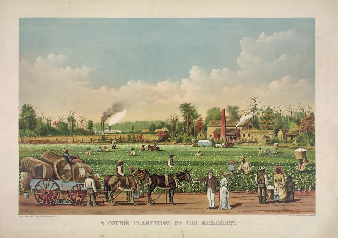 A Cotton Plantation On The Mississippi