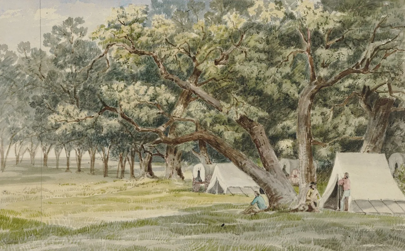 A Cottonwood Grove by John Mix Stanley - Canvas Print