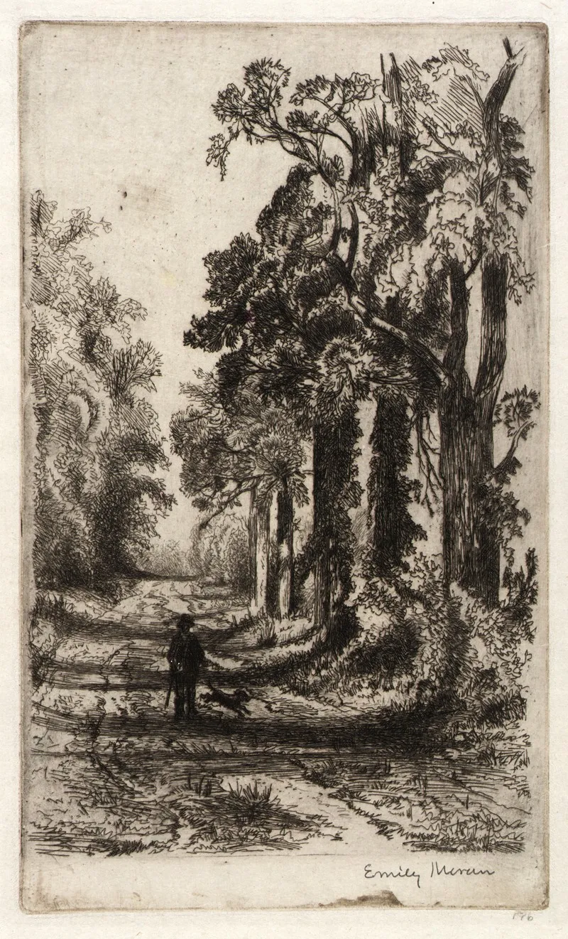 A Country Lane 4