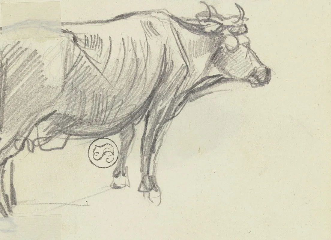 A Cow To The Right