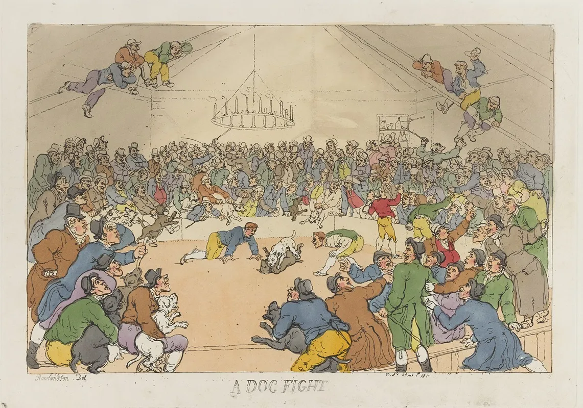 A Dog Fight