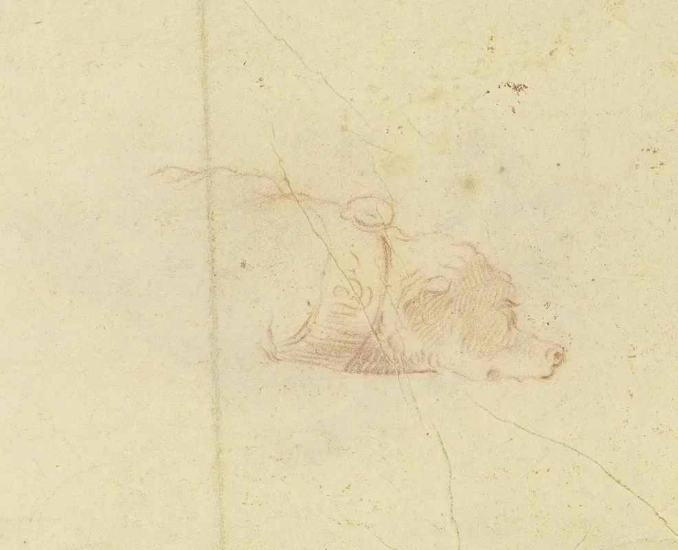 A Dogs Head 2