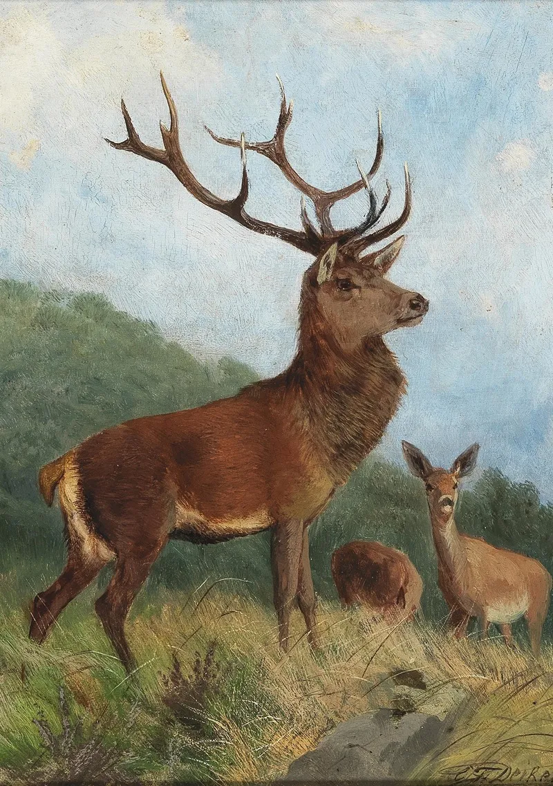 A Dominant Stag