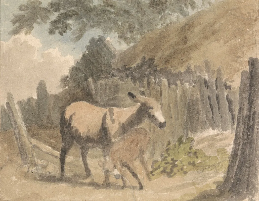 A Donkey And Foal
