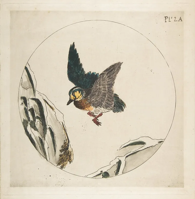 A Duck Flying Over Snow Covered Branches