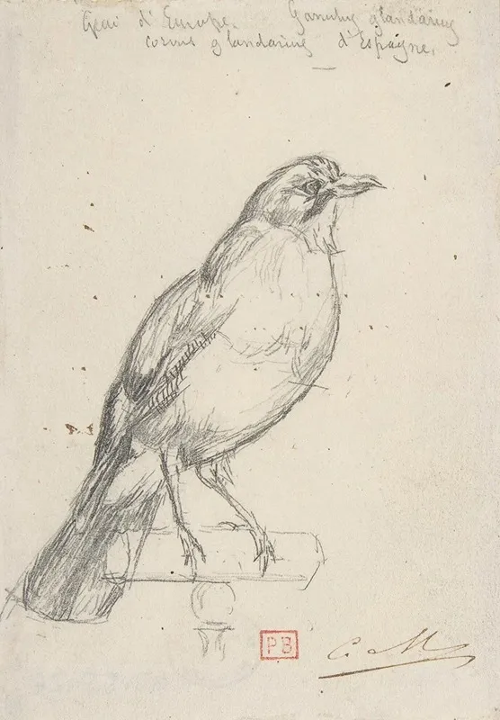 A European Jay by Charles Meryon - Canvas Print