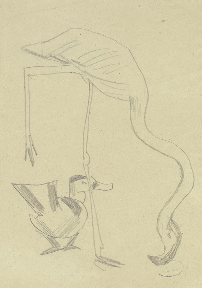 A Flamingo And A Duck