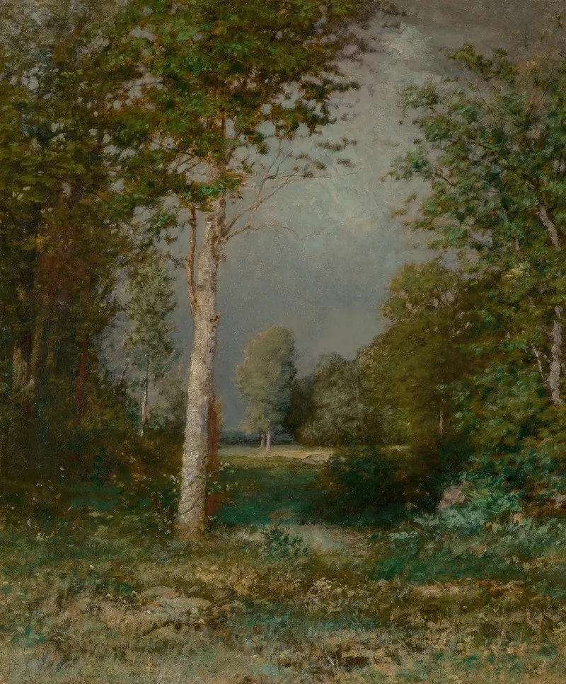 A Forest Glade 2