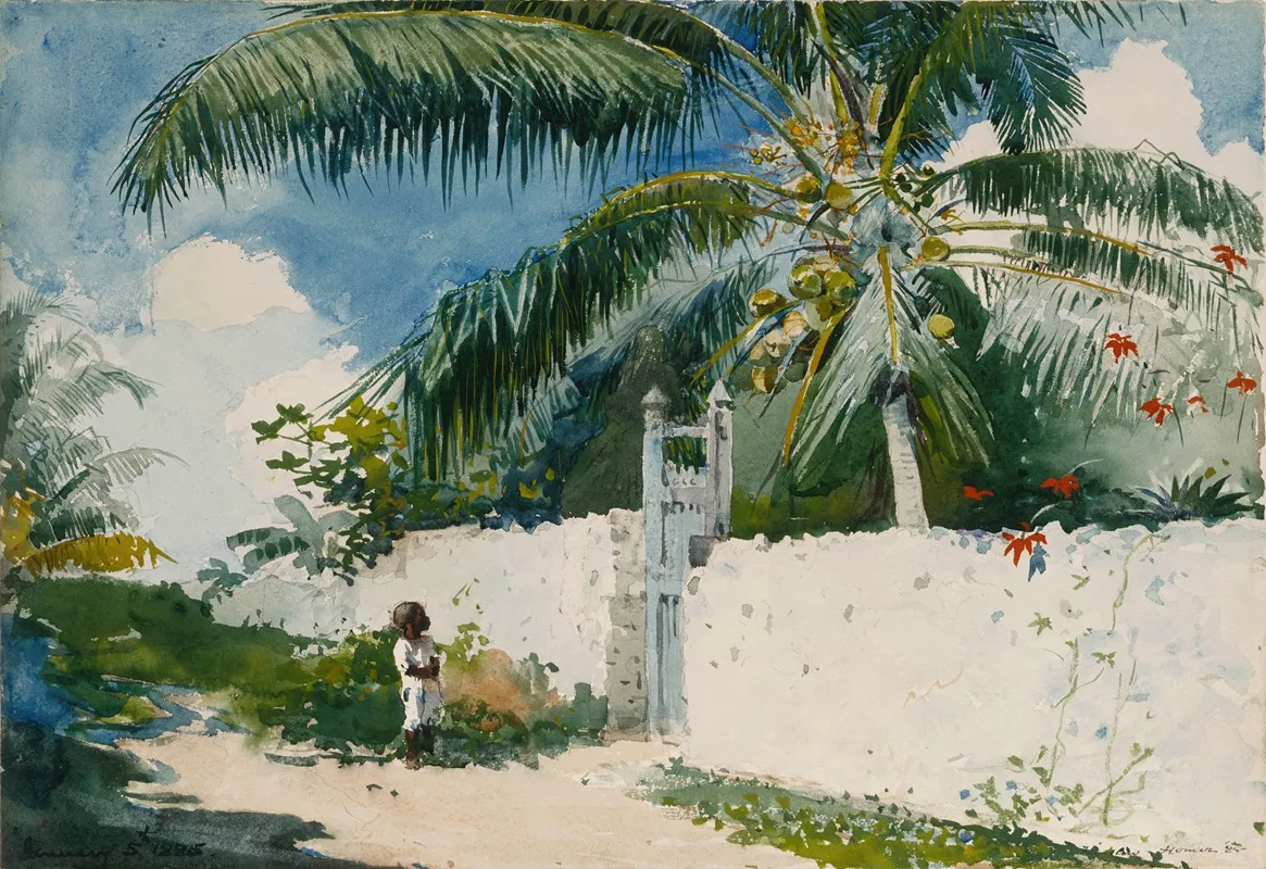 A Garden In Nassau