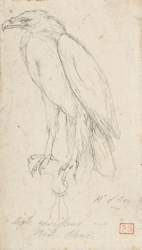 A Golden Eagle