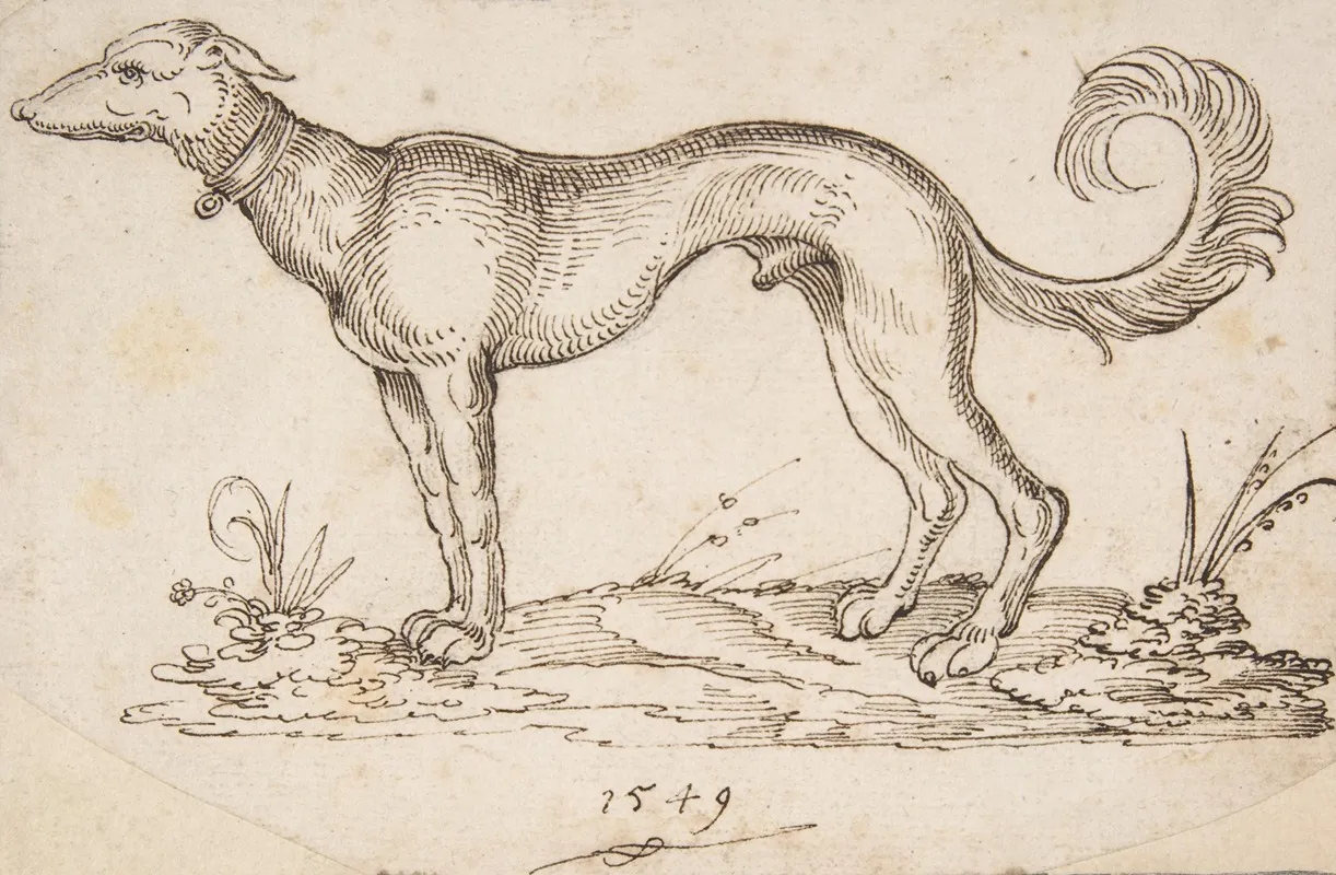 A Greyhound In Profile Facing Left