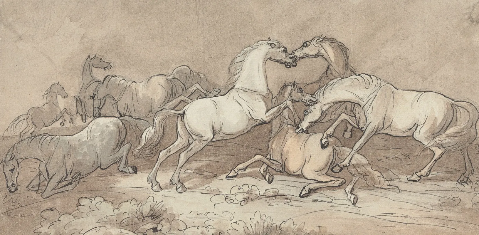 A Group Of Eight Horses Fighting