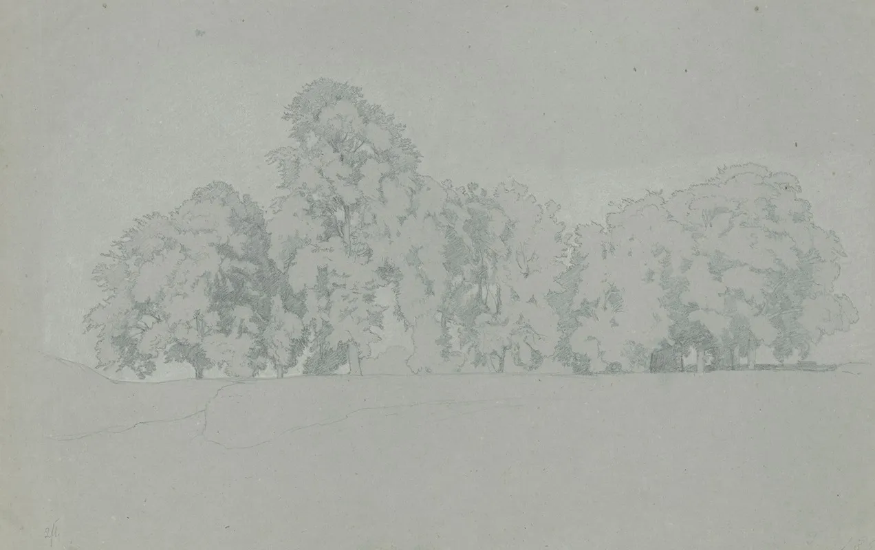 A Grove