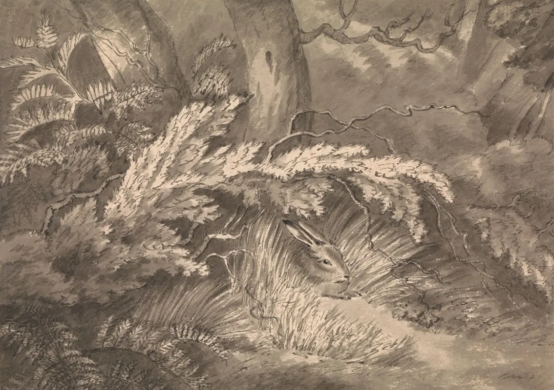 A Hare At The Edge Of The Wood