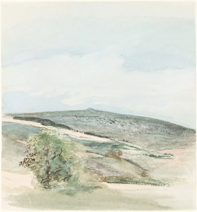 A Heath In Sussex