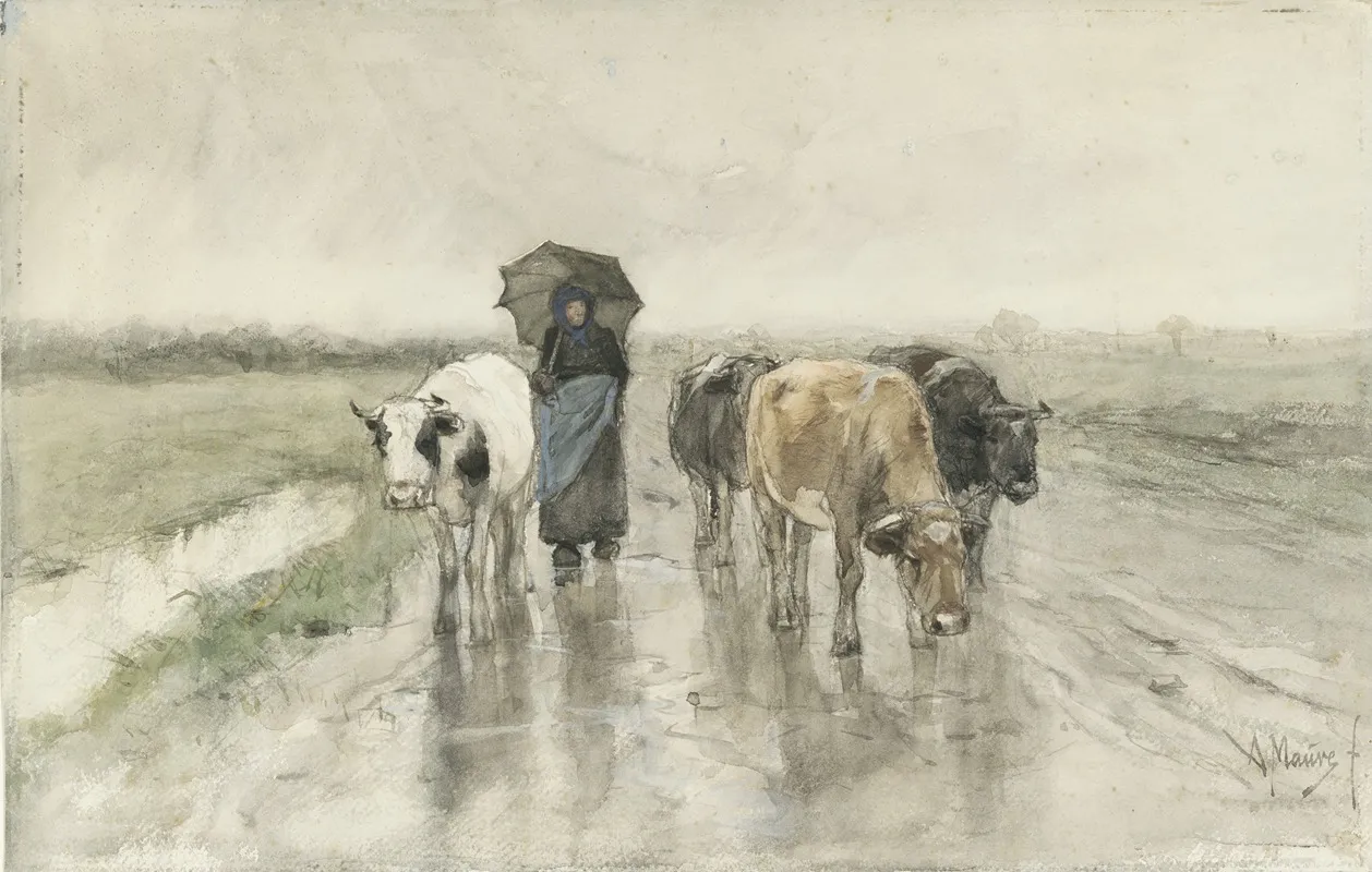 A Herdess With Cows On A Country Road In The Rain 2
