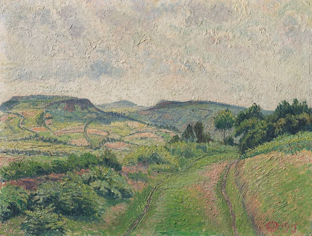 A Hilly Landscape