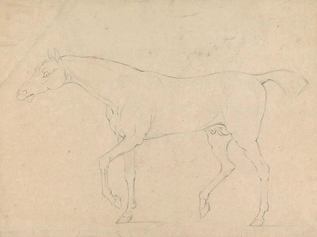 A Horse 2