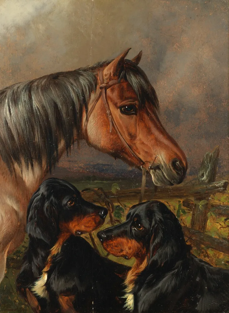 A Horse And Two Gordon Setters