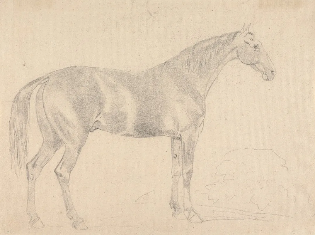 A Horse Facing Right