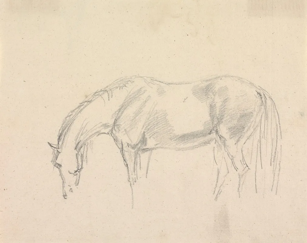 A Horse Grazing 2