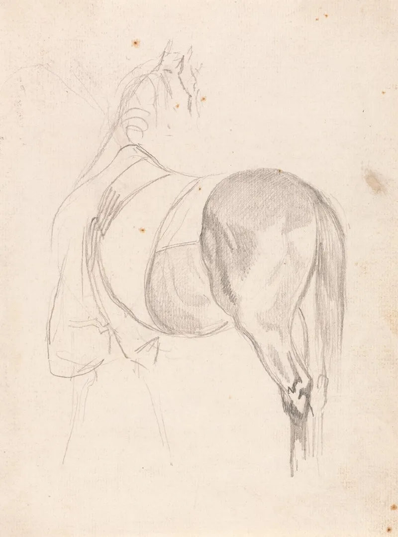 A Horse Standing Head Turned Wearing Quarter Sheet