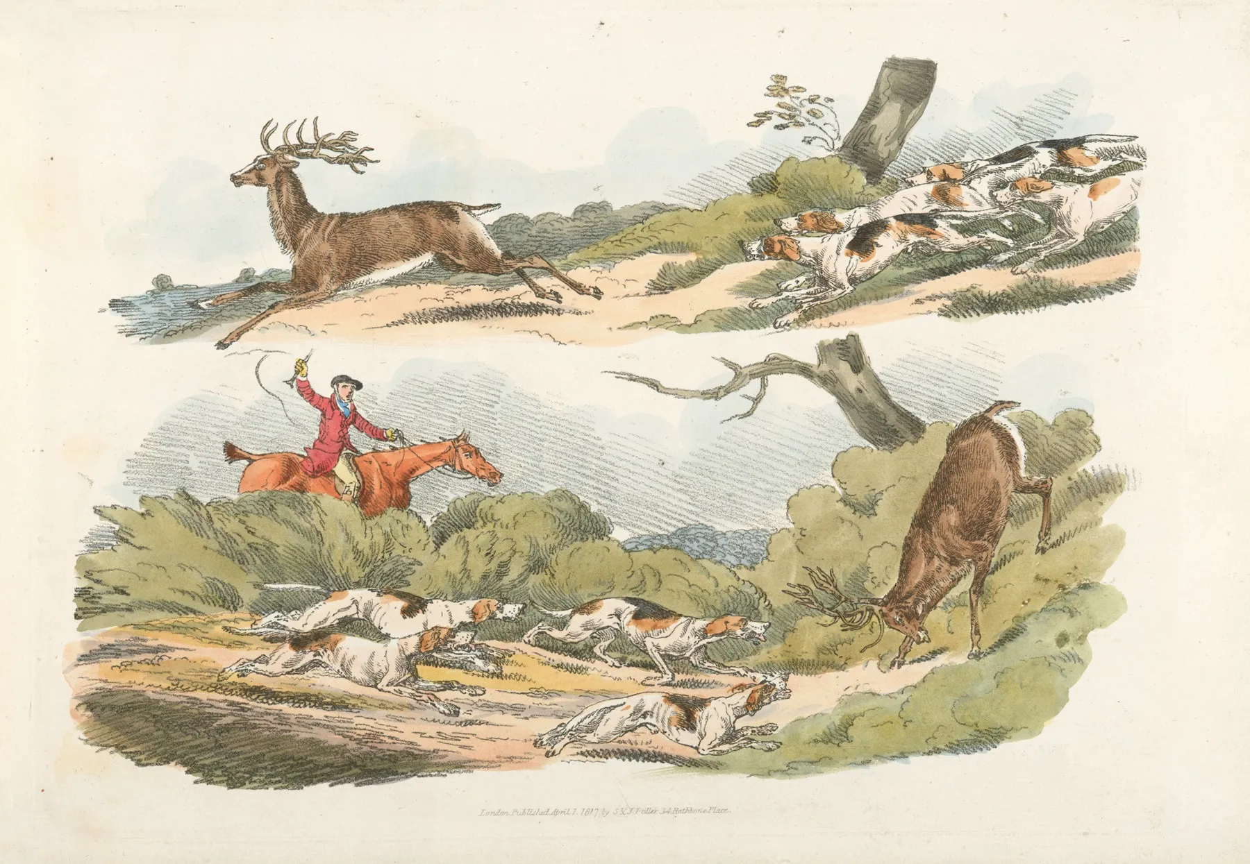 A Hunter With Dogs Chasing A Stag