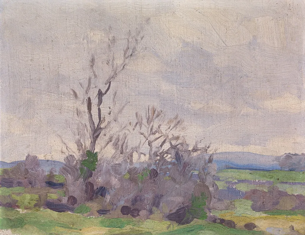 A Landscape 9 by Michael Healy - Canvas Print