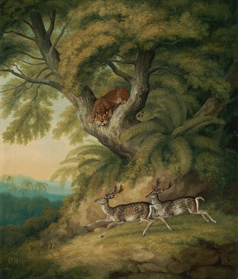 A Leopard With Two Passing Deer